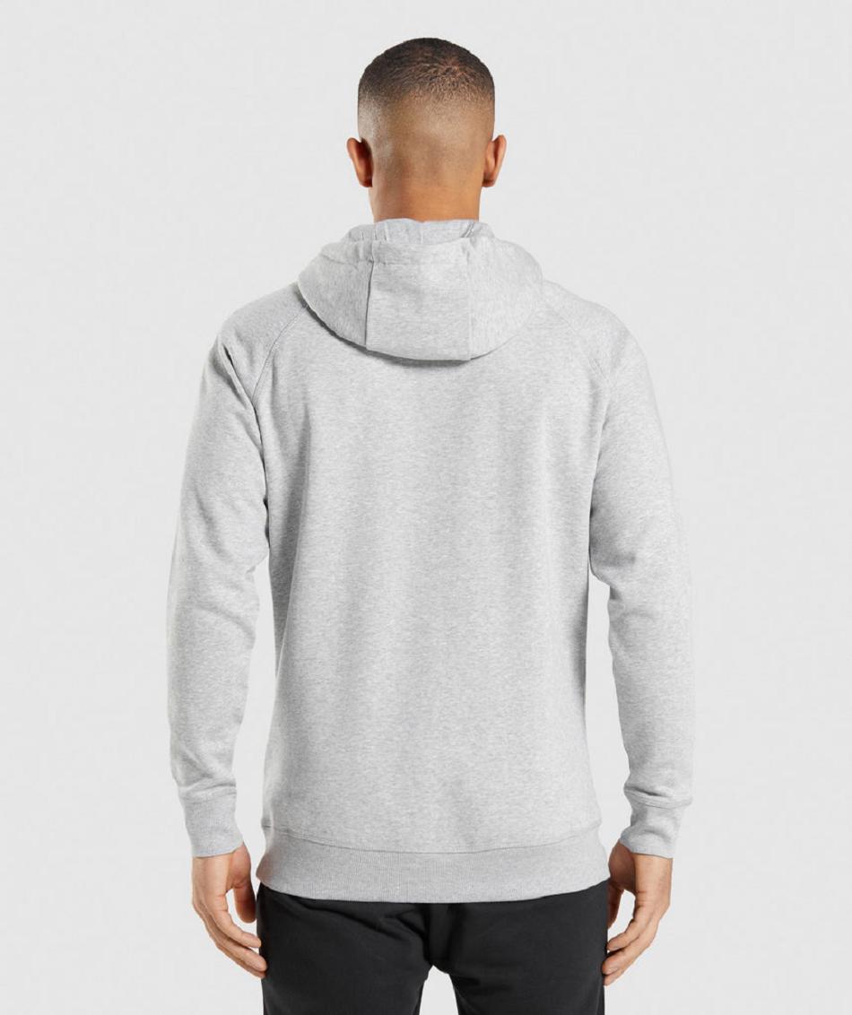 Bluzy Z Kapturem Męskie Gymshark Crest Głęboka Szare | PL 3577WNB